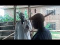The INSPECTOR Kasigo Atuunze ENTE Ze Zonna New Ugandan Movie 2025 Vjemmy The INSPECTOR Kasigo Atuunze ENTE Ze Zonna New Ugandan Movie 2025 Vjemmy