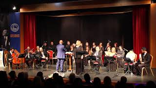 Deli Gönül Gezer Gezer Gelirsin Tülin Akçınar