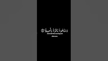 يايها الذين ءامنوا اذكروا الله ذكرا كثيرا| القارئ ياسر الدوسري | شاشة سوداء #كرومات_قرآن #كروما_قرآن