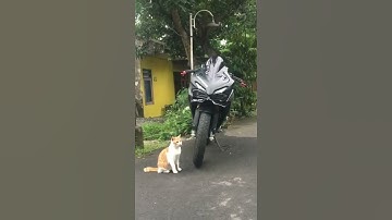CINEMATIC ALL NEW CBR 150R 2021