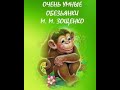 Очень умные обезьянки. Зощенко М. М. Рассказы для детей
