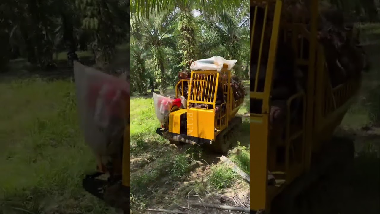 🌍 Tracked Dump Trucks in Action