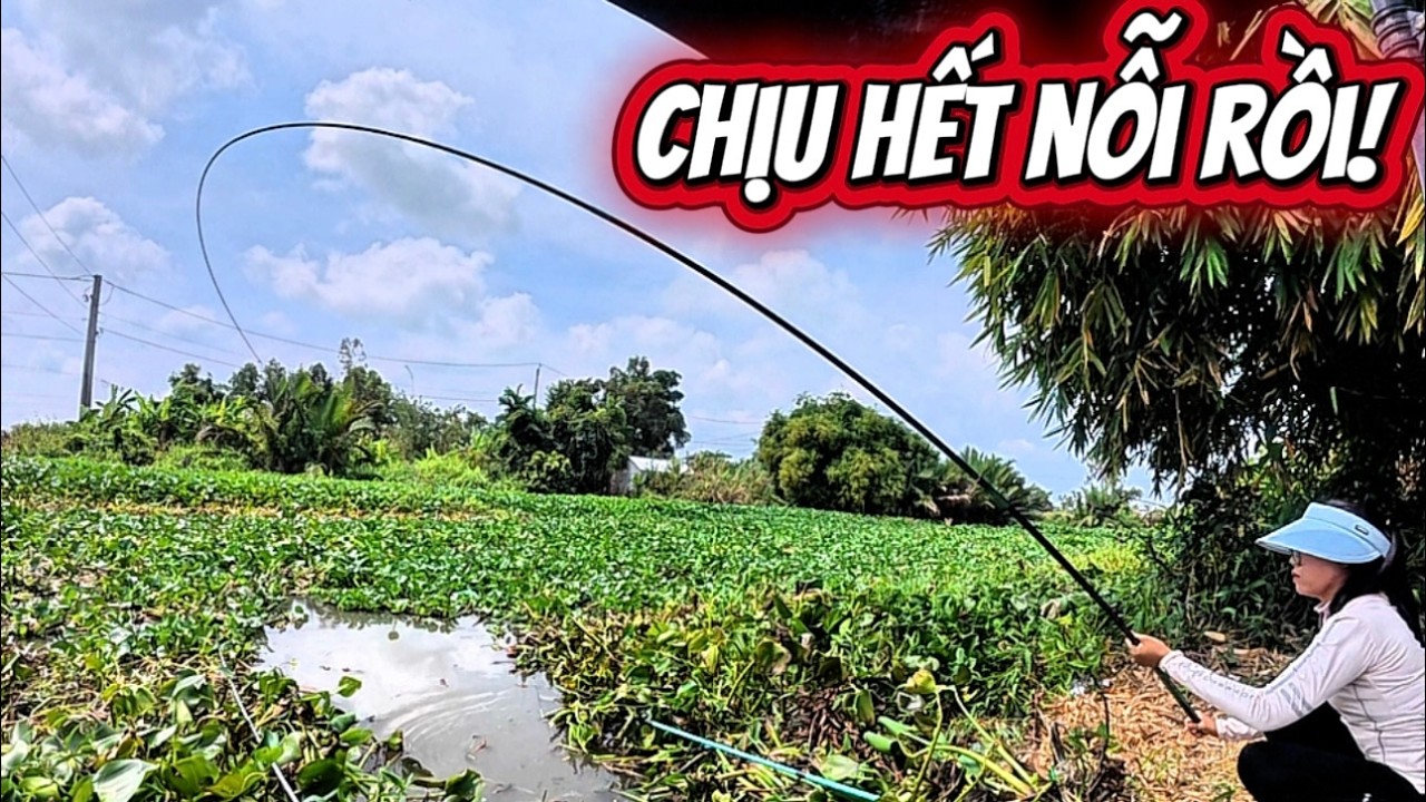 Không thể tin được đây là lần đầu đụng con trê dừa khủng nhất mà Oanh từng chạm mặt Oanh vlog