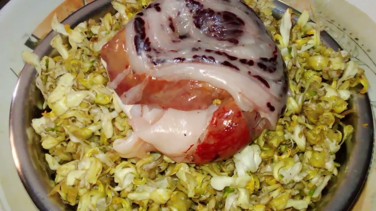 কাতলা মাছের তেল পটা দিয়ে সজনে ফুল চচ্চড়ি সাধারণ রেসিপি হলেও অসাধারণ টেস্ট 😋