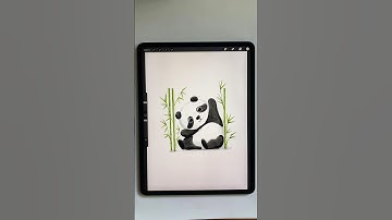 How to paint a watercolor panda in Procreate #cutedrawing #procreate #cutecharacter
