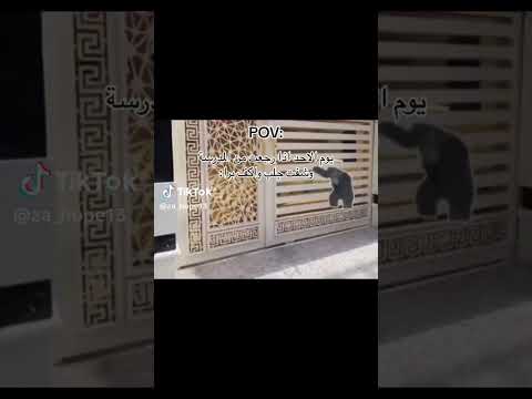 فتح باب هاي شني هاي