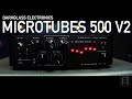 Darkglass Microtubes 500v2 Demo by Amos Heller