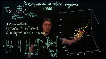 Descomposición en valores singulares (SVD)