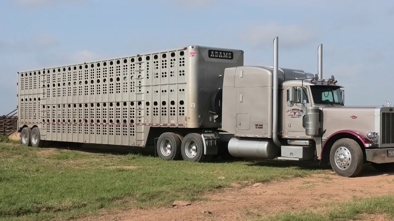 Dale Adams, L & L Trucking Inc.