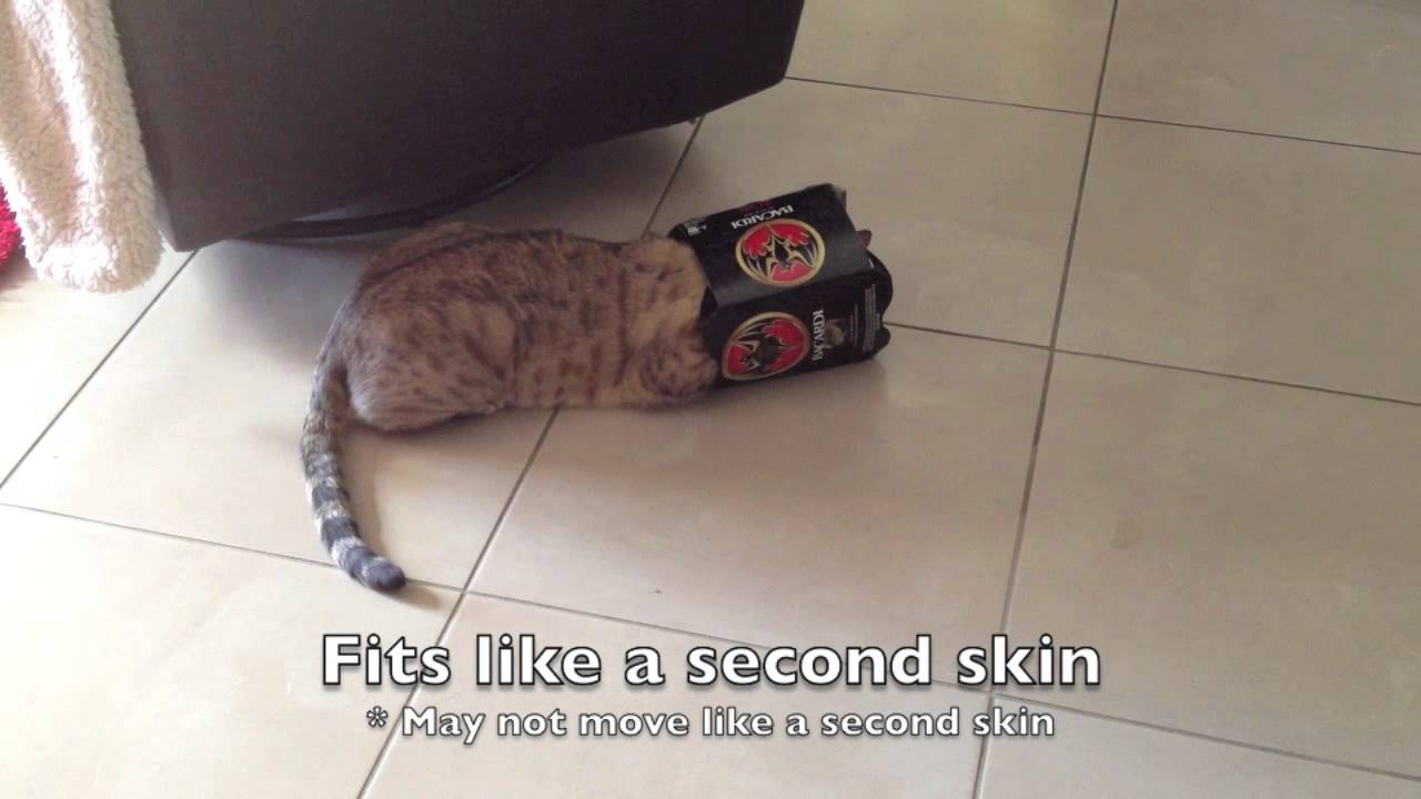 Tactical Armour Preparing your cats for battle! YouTube