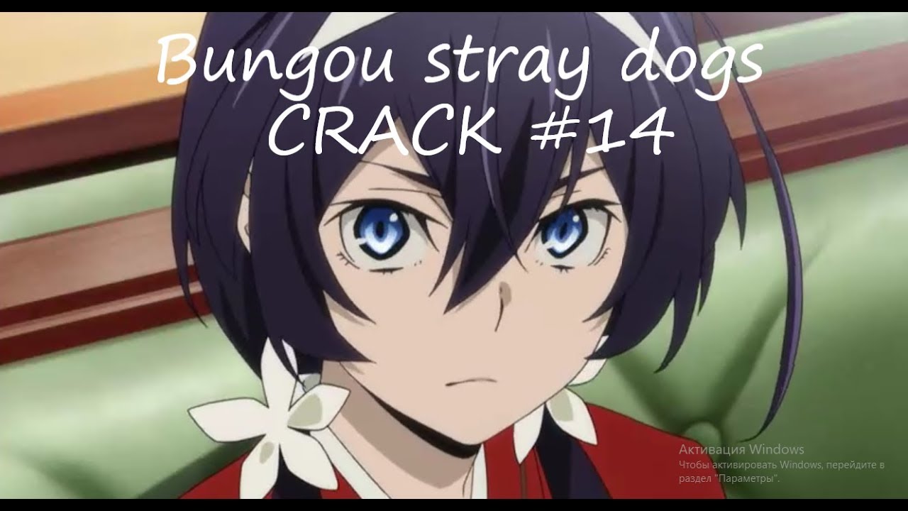 Геометрия не шл*ха, чтобы всем даваться - Bungou stray dogs | CRACK #14