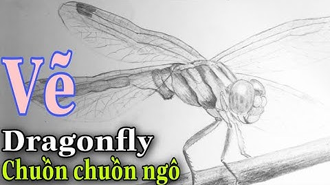 Cách vẽ chuồn chuồn cực dễ - How to draw a dragonfly