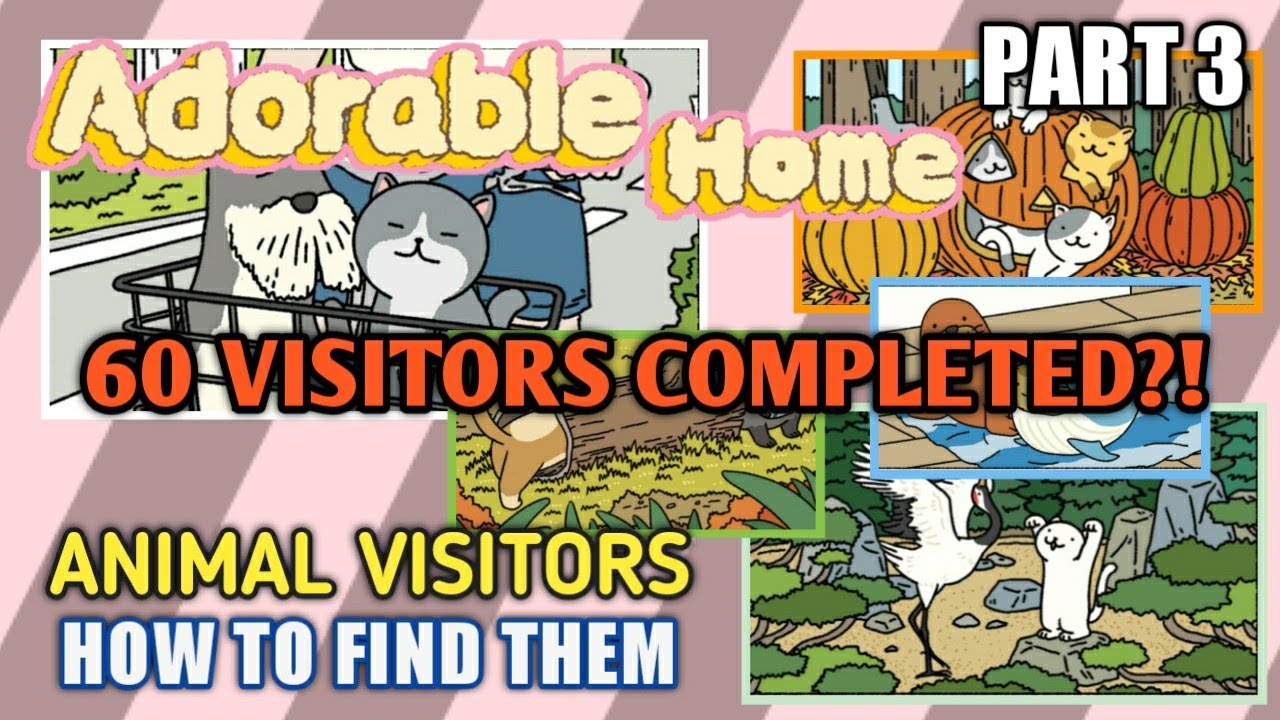 ADORABLE HOME | HOW TO GET VISITORS and 60 Visitors Sneak Peek -PART 3