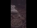 ياخوك انا القلب جلسه خاصه ياخوك انا القلب جلسه خاصه