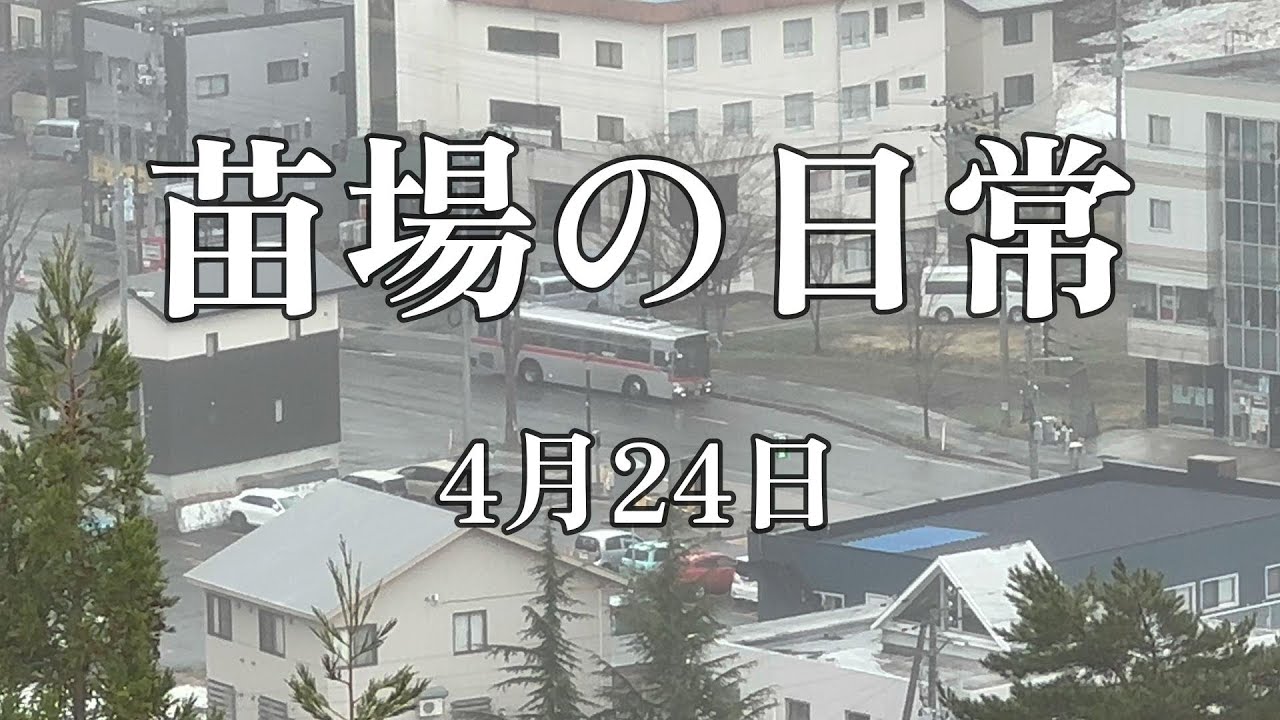 激安で購入したリゾートマンションに住み始めました（348）苗場の日常 