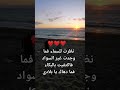 نظرت للسماء فما وجدت غير السواد فاكتفيت بالبكاء ما دهاكي يا بلادي 