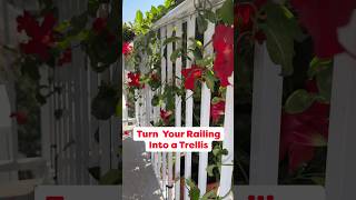 RailScapes from PlantTraps.com are the perfect tool to turn your railing into a trellis. #garden
