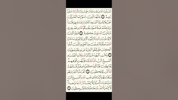 سورة التوبة/بصوت الشيخ/ محمد ايوب الركباوي تلاوة القرآن الكريم راحه نفسيه 💞💞