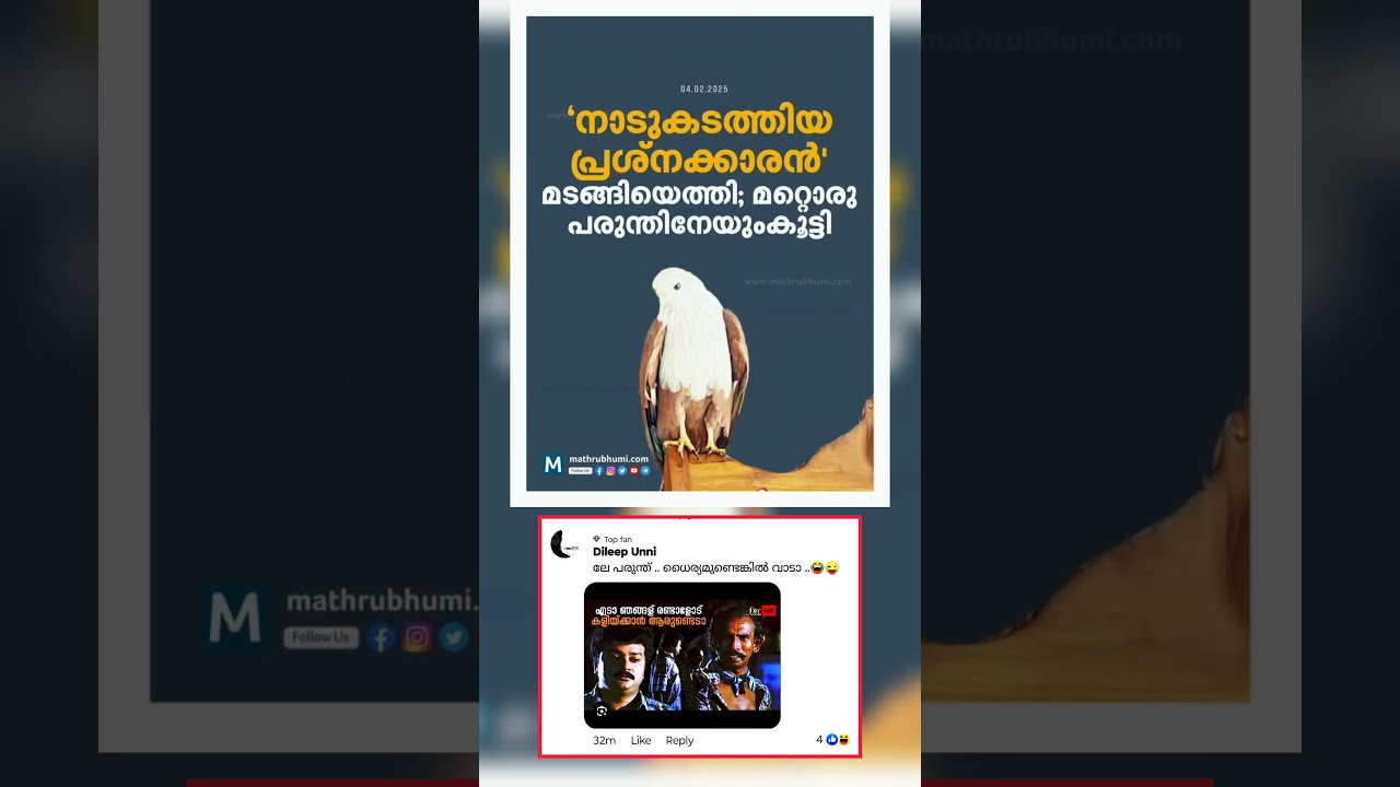 viralvideo fyp YouTube viralvideo fyp YouTube