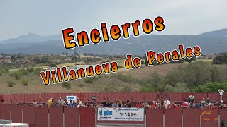 Encierro y capea en Villanueva de Perales, sábado 29 Abril 2023