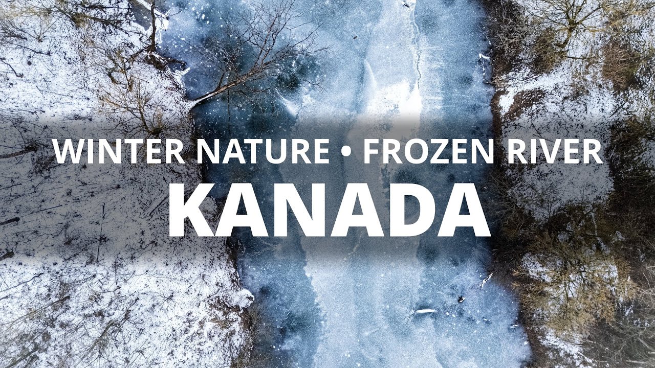 Frozen Oxbow of the Morava River | Winter Nature from Above