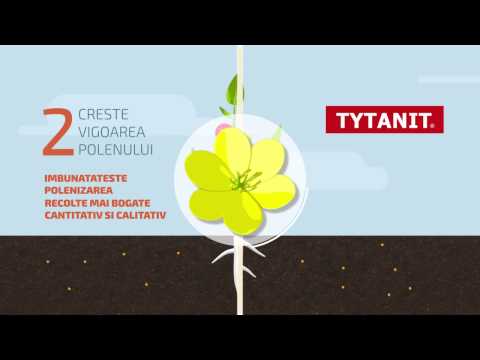 TYTANIT RUM