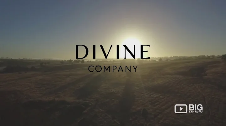 Meet Therese Kerr from The Divine Company: Brand A...