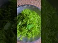 आदिवासी रान भाजी