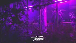 Bongo Riot - Babylon