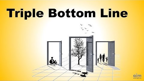 The Triple Bottom Line for Sustainable Service Delivery