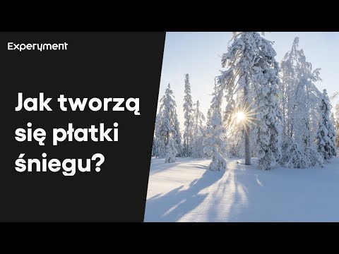 Jak tworzą się płatki śniegu? | ZDALNY EXPERYMENT #115