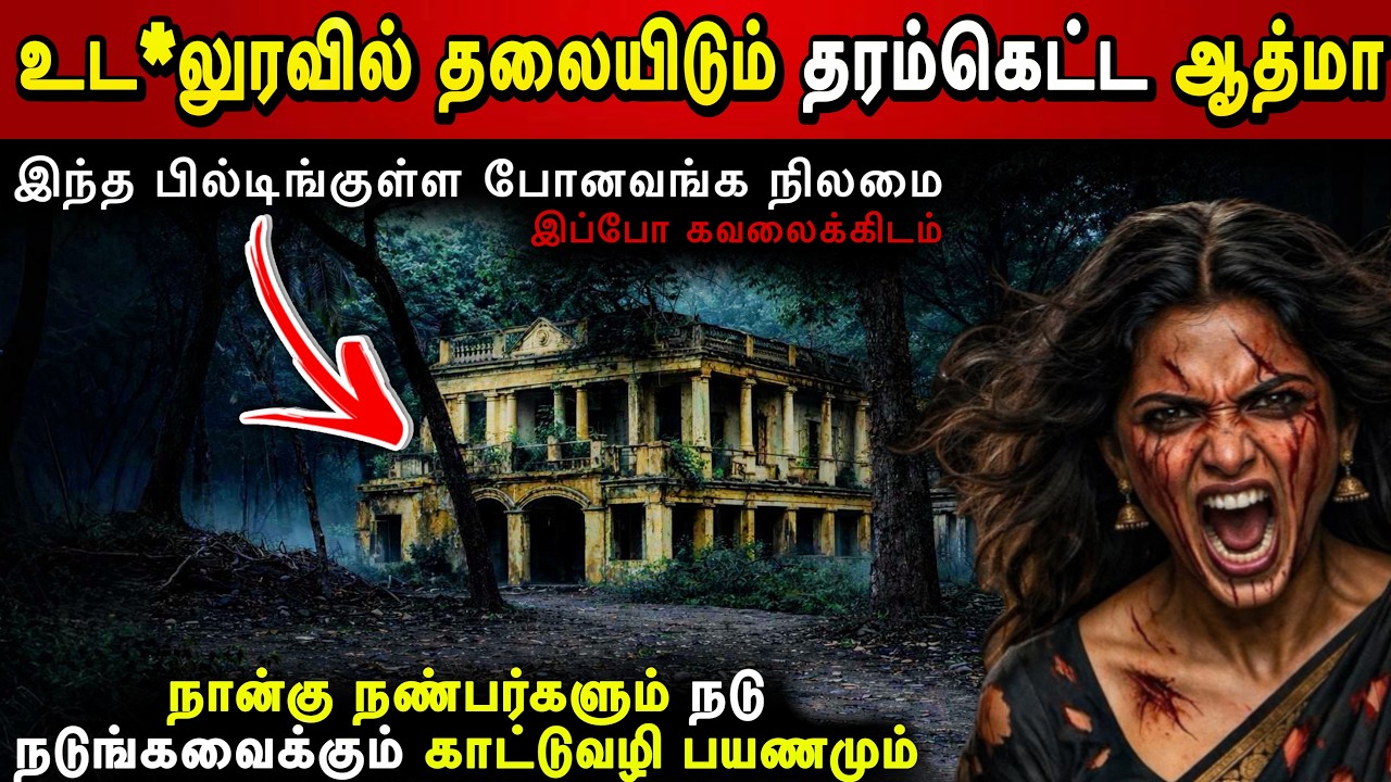 உட*லுரவில் தலையிடும் தரம்கெட்ட ஆத்மா🤯நான்கு நண்பர்களும் நடுங்கவைக்கும் காட்டு பயணமும்‼️Ghost Story 