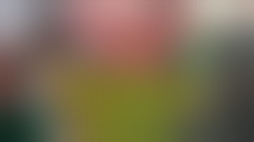 Nếu Lính Mỹ Không Tiết Lộ Thì Đến Bây Giờ Người Việt Cũng Không Biết Được Sự Thật Này - VSTT