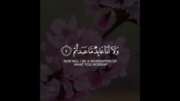 قل يا أيها الكافرون | سورة الكافرون | القارئ خالد الجليل
