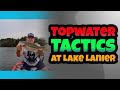 Topwater Tactics At Lake Lanier