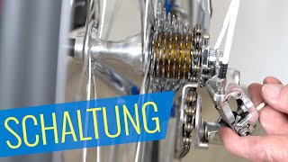 Campagnolo Record SCHALTUNG EINSTELLEN - Felix' Oldtimer Projekt - Fahrrad.org