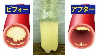 心臓病予防に効果のある食品１５