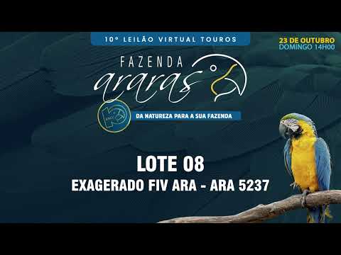 LOTE 08 ARA 5327