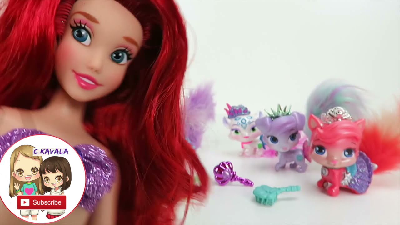 whisker haven palace pets toys