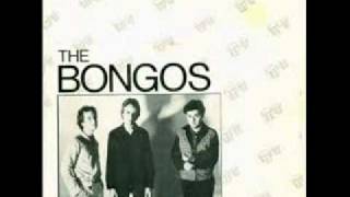 Video thumbnail of "The Bongos Numbers With Wings"