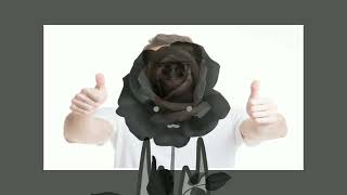 Epoch Meme Aesthetic Emo Warning