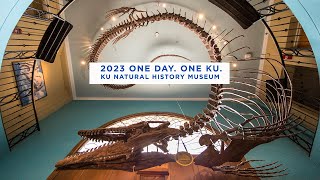 One Day. One KU. 2023 - KU Natural History Museum