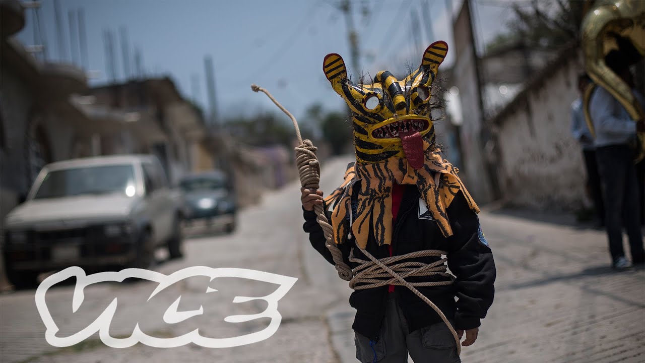 videos for cats Blood For Water: Fighting for the Rainy Season in Mexico