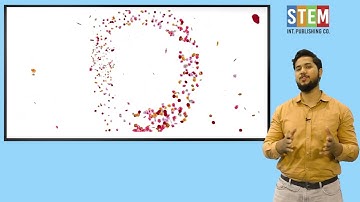 Math Grade 5 | Unit 5: Distance and Time | Exercise 5.3 Page 89 | Word Problems Solved