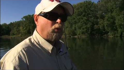 HOOK SHARPENING- BWATV QuickTip