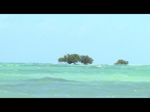 Florida fights rising sea level