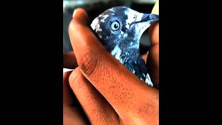 into power!#Computer #Tech #Trending #kabutar tereand #ComputerTips #LearnTech #ViralVideos