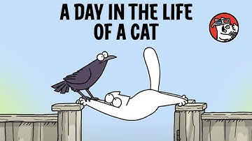 Spend the Day with Simon