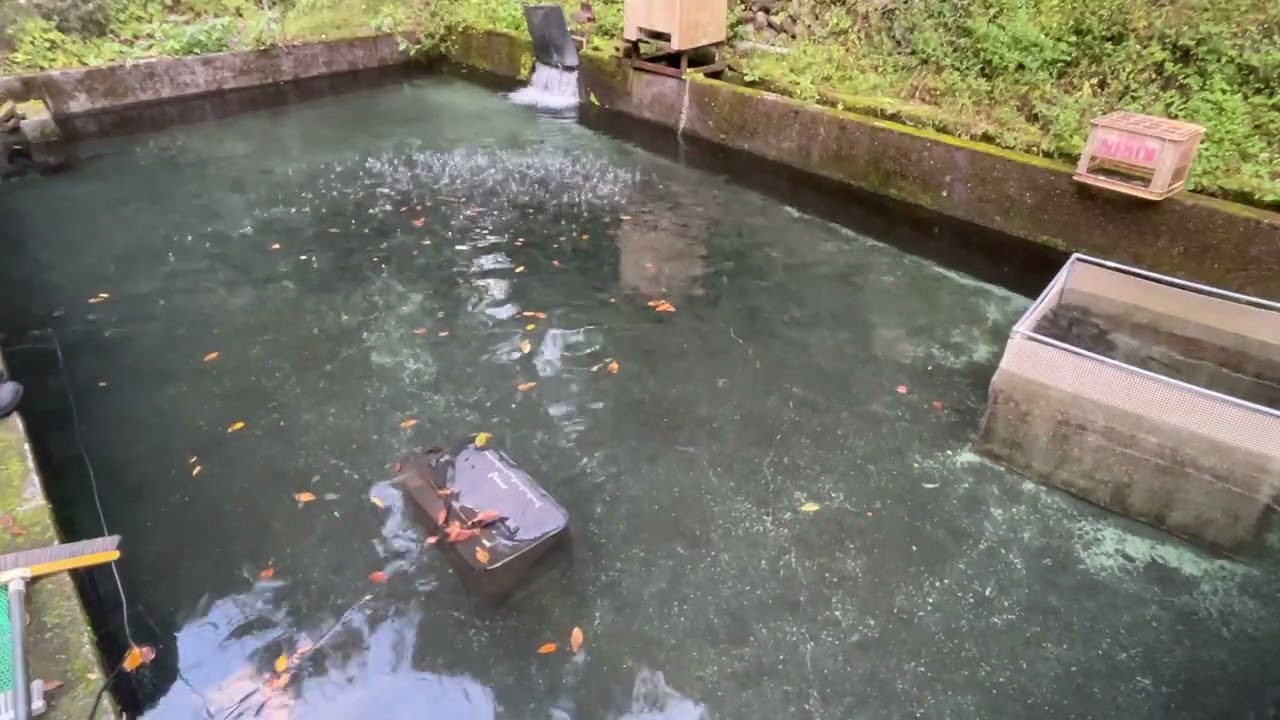 20251028飼育管理 前半