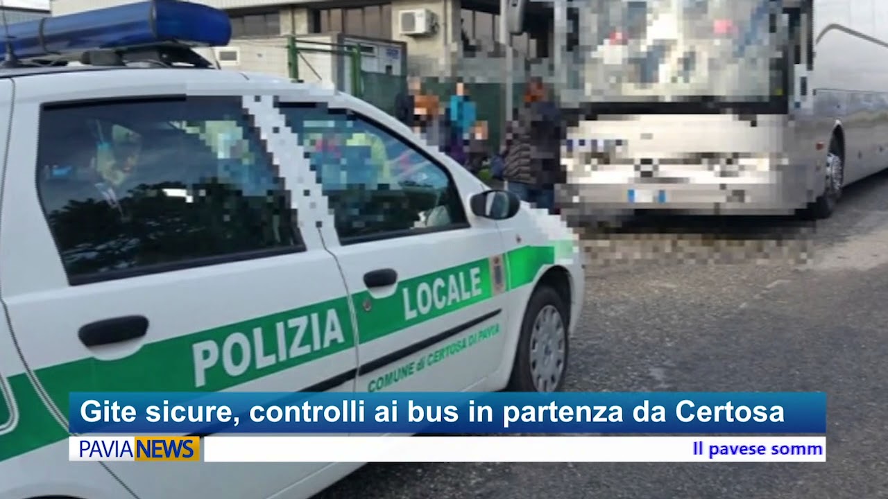 italian greyhound PAVIA NEWS - 12 aprile 2018